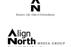 Align North website (2007)
