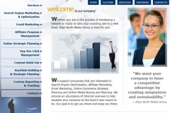 Align North website (2007)