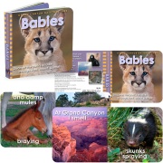 Baby board book