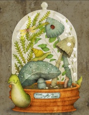 Terrarium Illustration